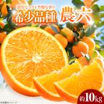 みかん 農六 約10kg