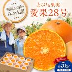 みかん 愛果28号 約5kg