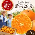 みかん 訳あり 甘平 サイズ不揃い 約1kg