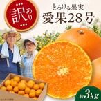 みかん 訳あり 愛果28号 約3kg