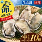 急速冷凍牡蠣 加熱用 中サイズ 10個
