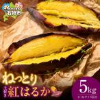 石狩産 土付サツマイモ 紅はるか S~3Lサイズ混在 5kg