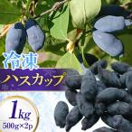 ハスカップ 冷凍 500g