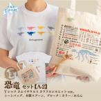 恐竜セット Tシャツ:柄 カムイサウルス
