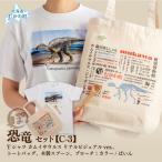 カバン トートバッグ 恐竜セット C-2 Tシャツ:柄