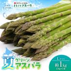 fu.... налог лето aspalaL размер примерно 1kg(150g×7 пакет входить ) MKWM005 Hokkaido ... блок 