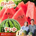 藤重農園の露地スイカ 羅皇ザ スイート 1玉