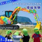 fn-79-001 アートラッピングバックホウ操縦体験
