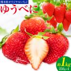 ゆうべに 約1kg