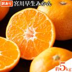 宮川早生みかん訳あり 約5kg