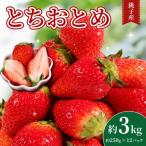 とちおとめ 約3kg