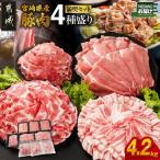 豚肉 4.2kgセット ギャル曽根さんの豚肉返礼品