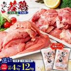 鶏肉 若鳥もも むねブロック 3か月定期便