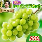 令和8年産 訳あり シャインマスカット 500g