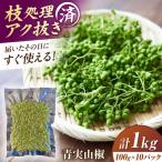青実山椒 1kg
