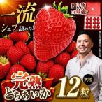 完熟とちあいか 極上大粒 1粒40g前後