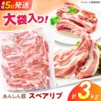 スペアリブ 3kg