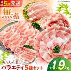 豚肉 バラエティセット 5種