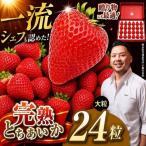 完熟とちあいか 極上大粒 1粒40g前後