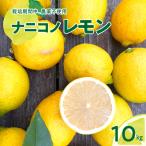 ナニコノレモン 10kg
