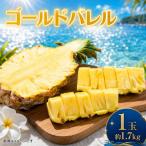 パイナップル ゴールドバレル 1玉