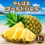 パイナップル やんばるゴールドバレル 1玉