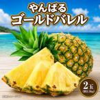 パイナップル やんばるゴールドバレル 2玉