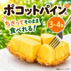 パイナップル ポコットパイン 3~4玉 サンライズひがし