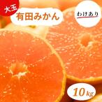 有田みかん 大玉10kg 2L~3L