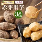 大きめ 赤芽里芋 約3kg