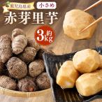 小さめ 赤芽里芋 約3kg