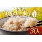 獅子米 あきたこまち 玄米 30kg
