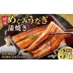 めぐみうなぎ 蒲焼き 3尾