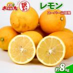 訳あり レモン 約 8kg
