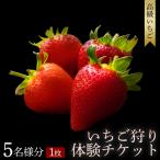 オリジナルいちごと ブランドいちごの食べ比べ