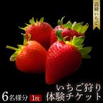 オリジナルいちごと ブランドいちごの食べ比べ