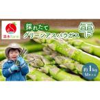 グリーンアスパラ 富良野産 雫 Mサイズ 清水farm