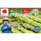 グリーンアスパラ 雫 訳あり 富良野産 アスパラ