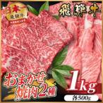 飛騨牛 おまかせ焼肉2種セット約1kg