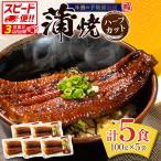 3営業日以内出荷 味鰻 個包装 小分け 5袋