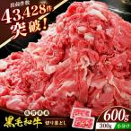 佐賀産和牛 切り落とし 600g