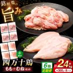 四万十鶏 おいしいとこ鶏 セット もも肉 むね肉