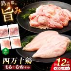 四万十鶏 おいしいとこ鶏 セット もも肉 むね肉