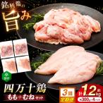 四万十鶏 おいしいとこ鶏 セット もも肉 むね肉