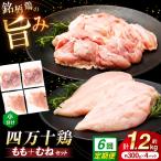 四万十鶏 おいしいとこ鶏 セット もも肉 むね肉
