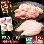 四万十鶏 おいしいとこ鶏 セット もも肉 むね肉