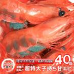 子持ち甘エビ40匹丸ごと昆布〆 甘エビ