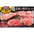 くまもと黒毛和牛 藤彩牛 厳選4種の贅沢セット 計1kg