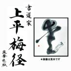 ふるさと納税 書道家による直筆書 上平梅径 直筆書(白1字) 大阪府泉佐野市