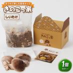 fu.... налог .... приятный культивирование комплект [.. .. дом ]....[ Tottori префектура .. город ] Tottori префектура .. город 